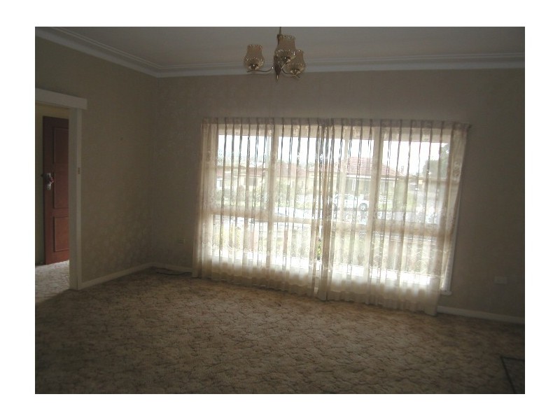 Wingham NSW 2429
