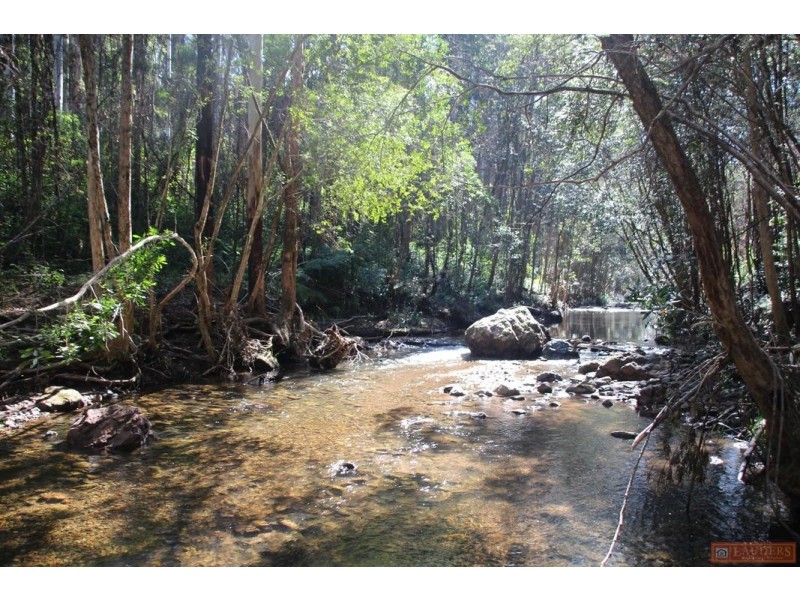 1380 Caparra Road, Caparra NSW 2429