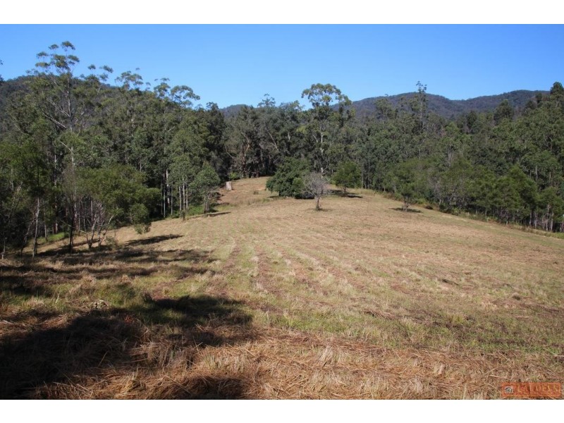 1380 Caparra Road, Caparra NSW 2429