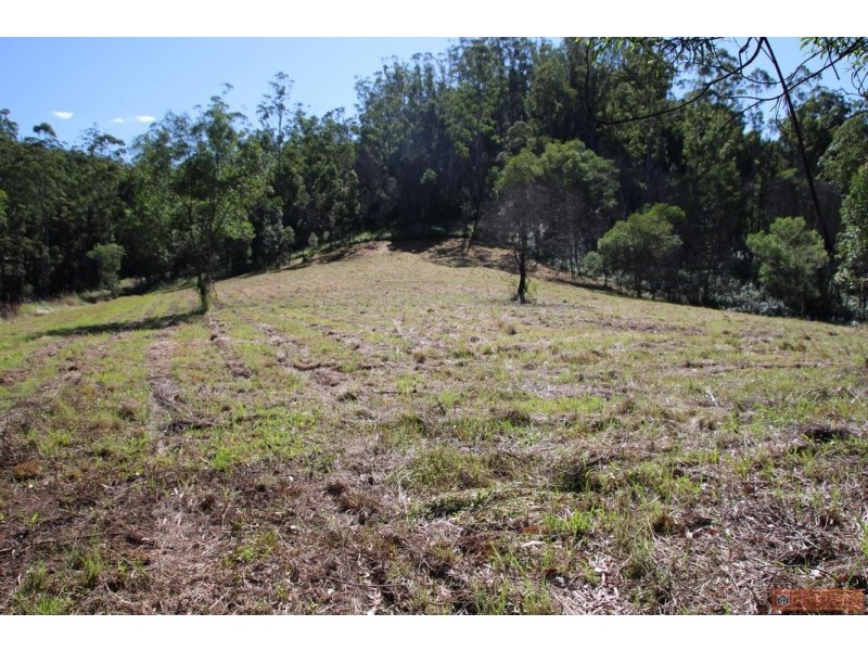 1380 Caparra Road, Caparra NSW 2429