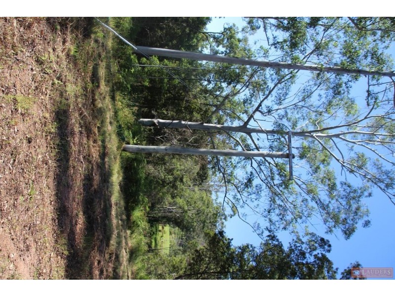 1380 Caparra Road, Caparra NSW 2429