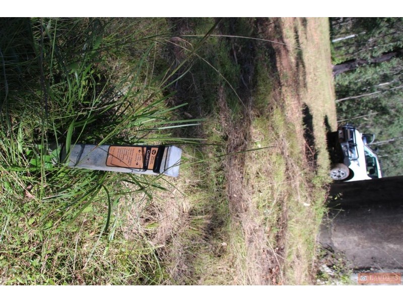 1380 Caparra Road, Caparra NSW 2429