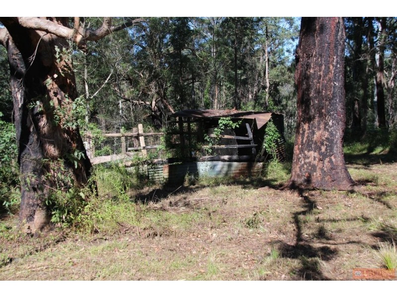 1380 Caparra Road, Caparra NSW 2429