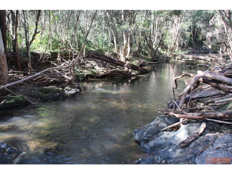 1380 Caparra Road, Caparra NSW 2429