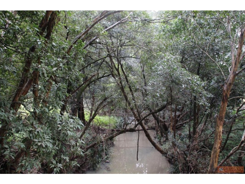 770 Mooral Creek Road, Strathcedar NSW 2429