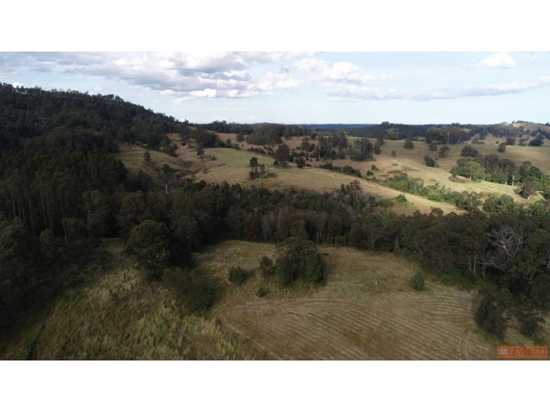 770 Mooral Creek Road, Strathcedar NSW 2429