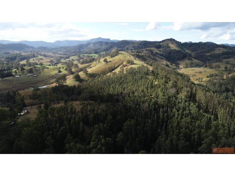 770 Mooral Creek Road, Strathcedar NSW 2429