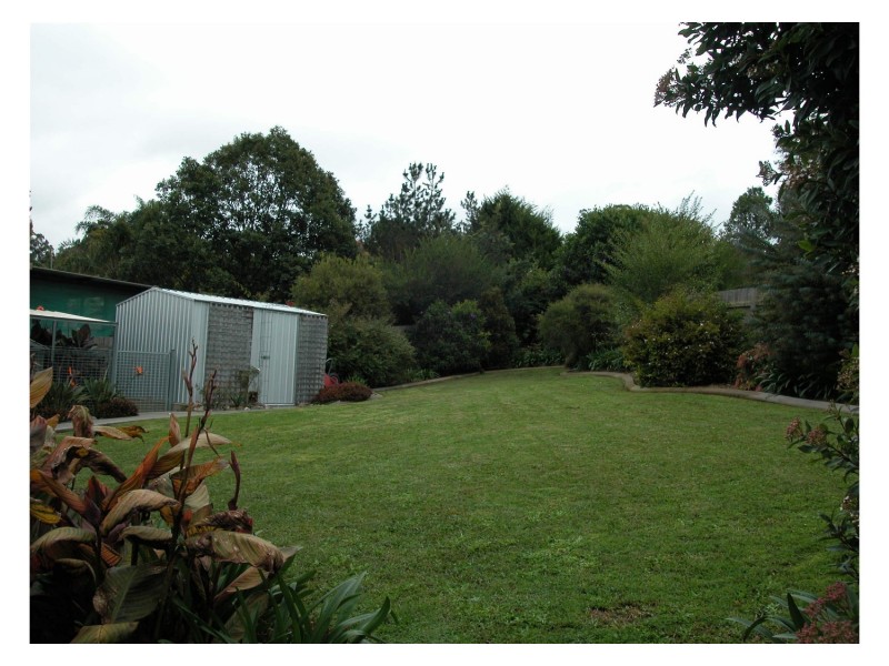 Wingham NSW 2429