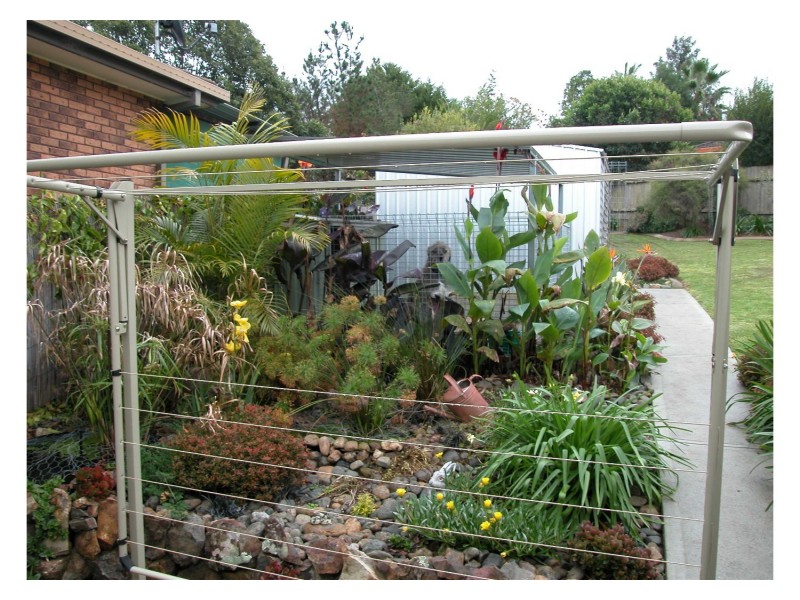 Wingham NSW 2429