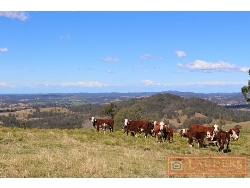 Dollys Flat NSW 2429