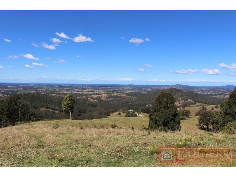 Dollys Flat NSW 2429