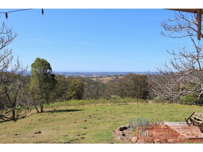 Dollys Flat NSW 2429