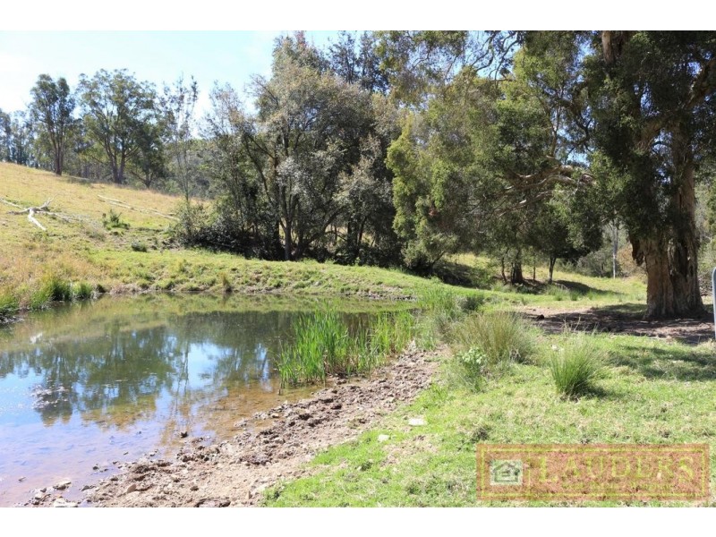 Dollys Flat NSW 2429