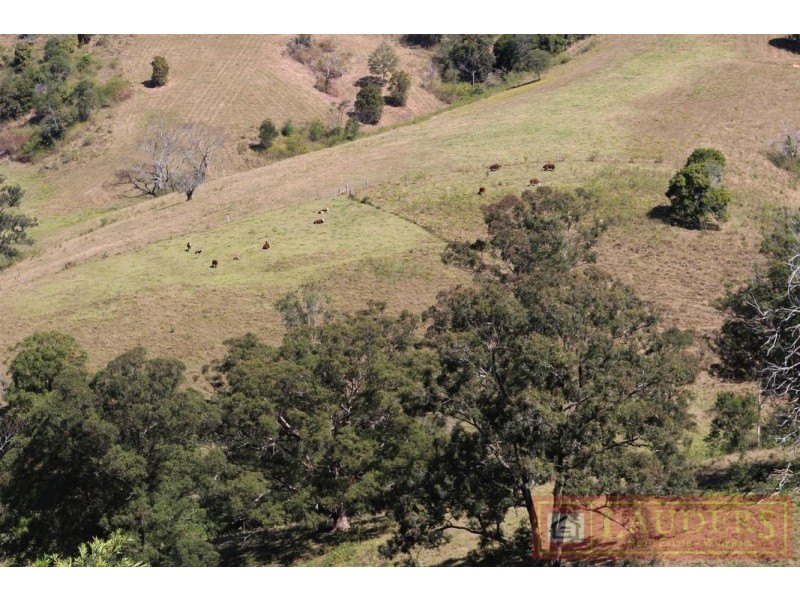 Dollys Flat NSW 2429