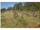 535 Nowendoc Road, Killawarra NSW 2429