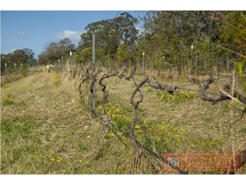 535 Nowendoc Road, Killawarra NSW 2429