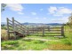 419 Tinonee Road, Mondrook NSW 2430