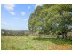 419 Tinonee Road, Mondrook NSW 2430