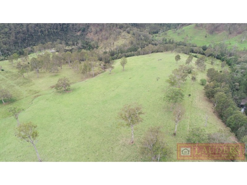 Elands NSW 2429