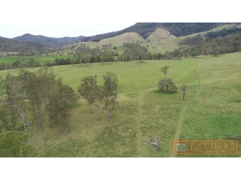 Elands NSW 2429