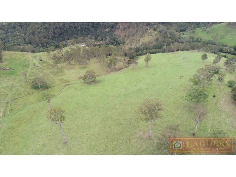 Elands NSW 2429