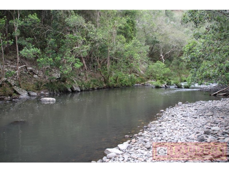 Elands NSW 2429