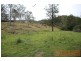 Elands NSW 2429