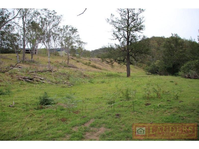 Elands NSW 2429