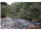Elands NSW 2429