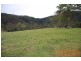 Elands NSW 2429