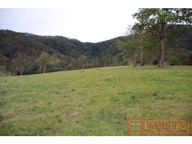 Elands NSW 2429