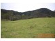 Elands NSW 2429