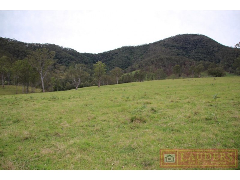 Elands NSW 2429