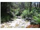 Doyles River NSW 2446