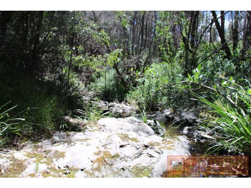 Doyles River NSW 2446