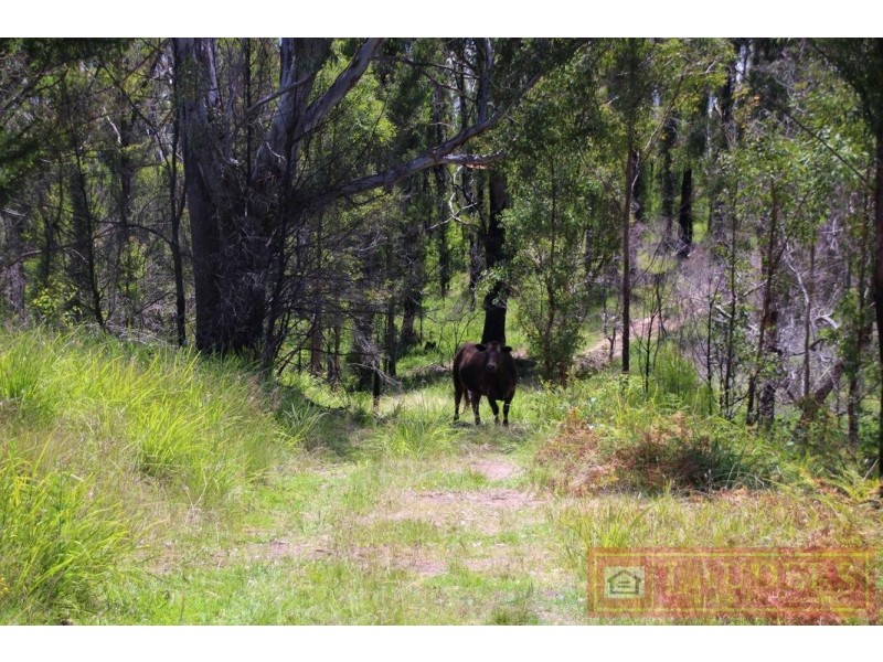 Doyles River NSW 2446