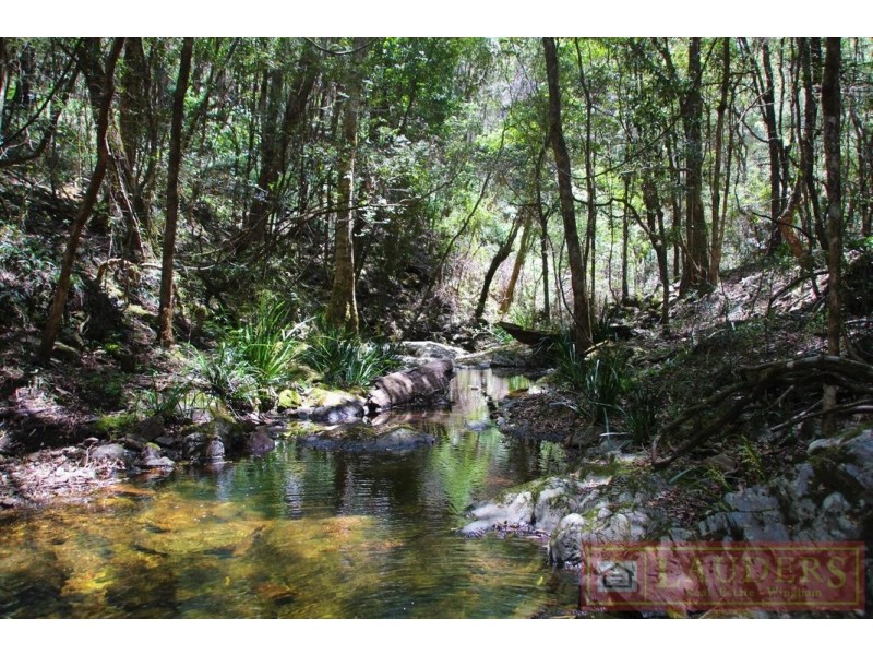 Doyles River NSW 2446