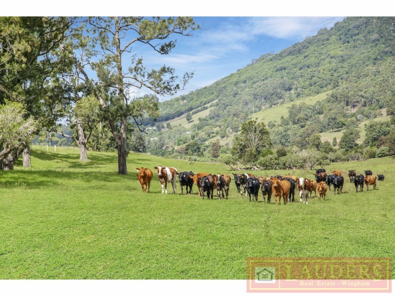 1187 Nowendoc Road, Mount George NSW 2424