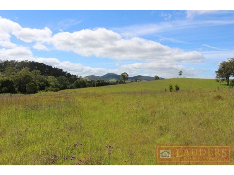 Wang Wauk NSW 2423