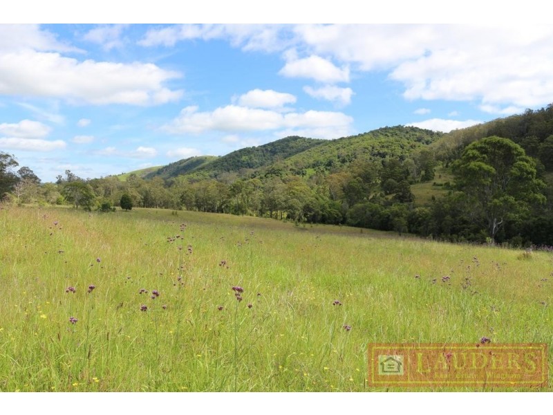 Wang Wauk NSW 2423