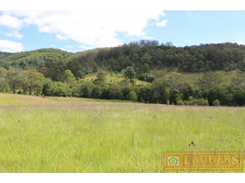 Wang Wauk NSW 2423
