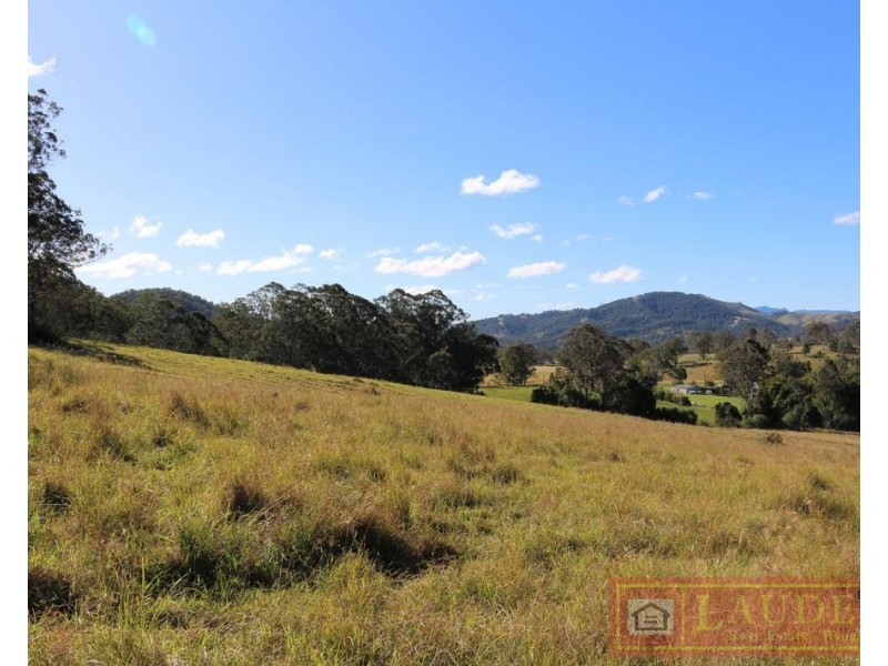91 Lochinvar Road, Wherrol Flat NSW 2429