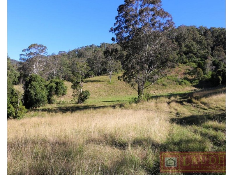 91 Lochinvar Road, Wherrol Flat NSW 2429