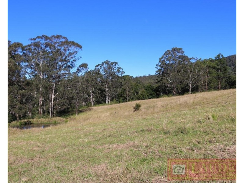 91 Lochinvar Road, Wherrol Flat NSW 2429