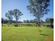 256 Comboyne Road, Wingham NSW 2429