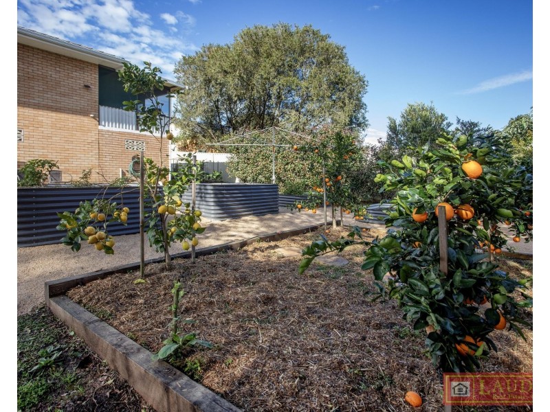 14 Blue Gum Avenue, Wingham NSW 2429