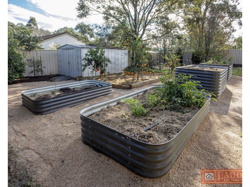 14 Blue Gum Avenue, Wingham NSW 2429