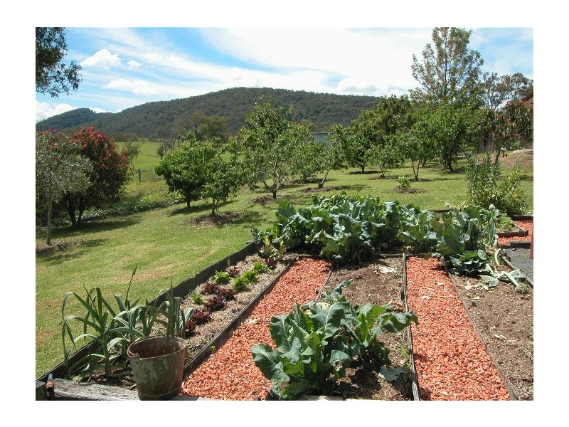 Mount George NSW 2424