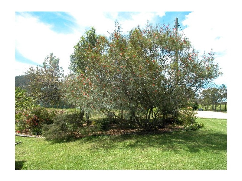 Mount George NSW 2424