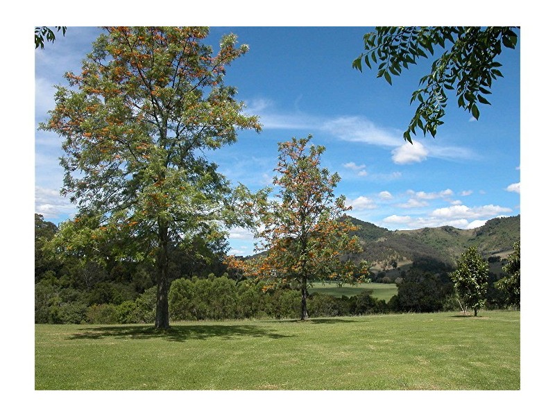 Mount George NSW 2424